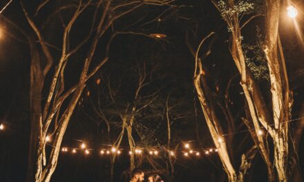 7 Benefits of having a Forest Wedding